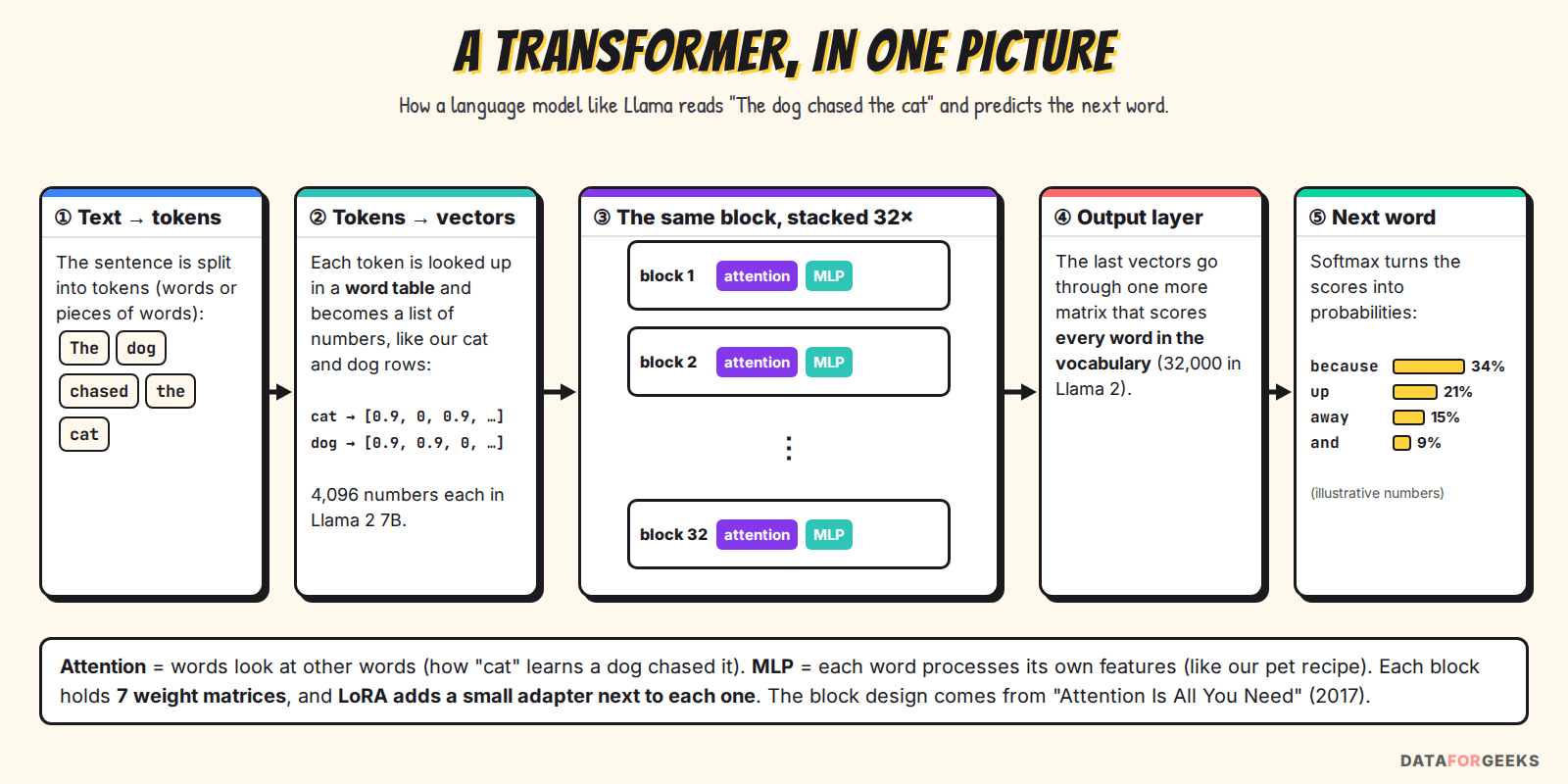 A transformer in one picture: the sentence the dog chased the cat is split into tokens, each token becomes a vector from a word table, the vectors pass through 32 stacked blocks of attention and MLP, an output layer scores every word in the vocabulary, and a softmax gives the next-word probabilities