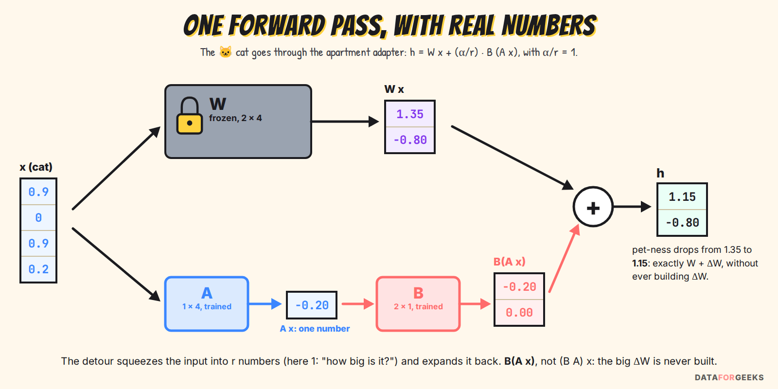 One LoRA forward pass with real numbers: the cat vector goes through the frozen W to give 1.35 and minus 0.80, and in parallel through A to a single number minus 0.2 and through B back to minus 0.2 and 0; adding them gives 1.15 and minus 0.80, the same as W plus delta W